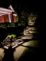 Akemi - "Bright and Beautiful"